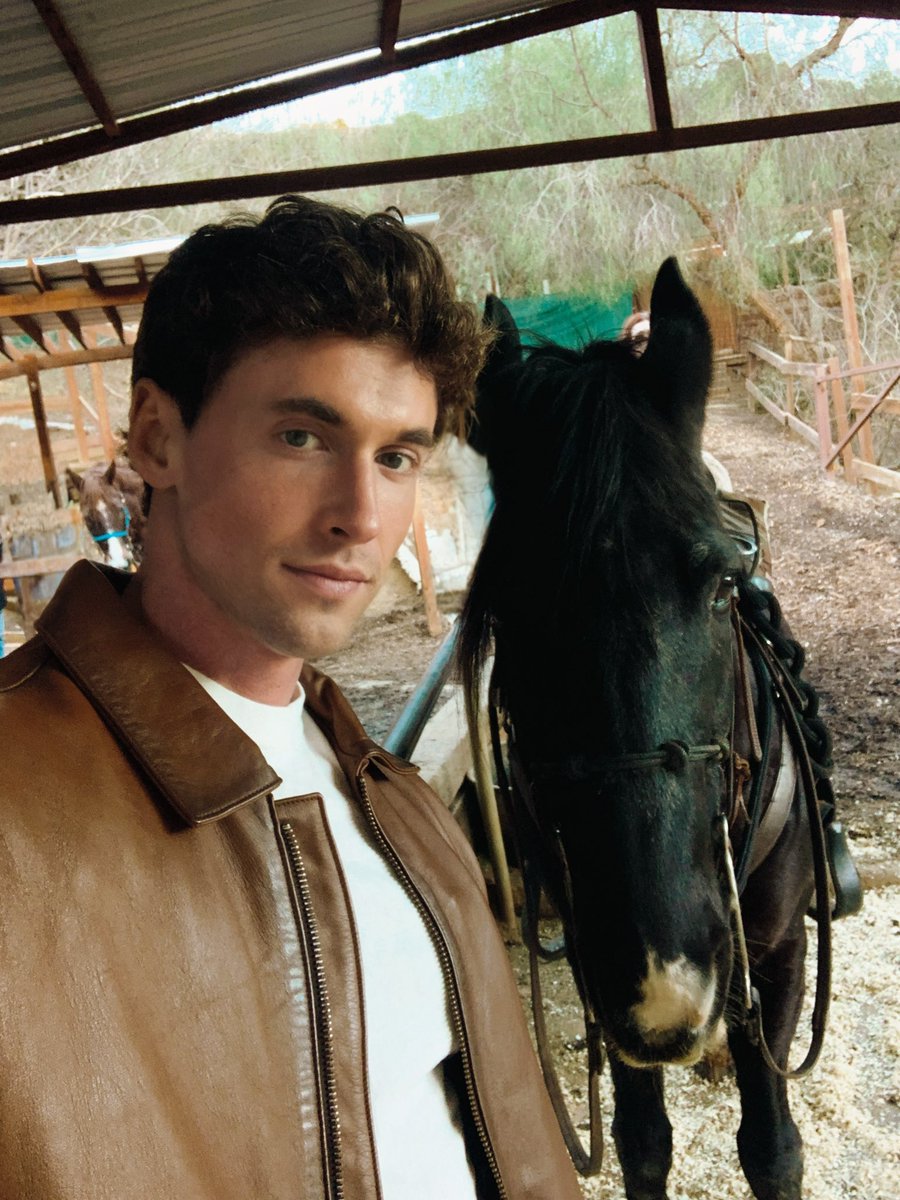 Stephen Tracey tweet media