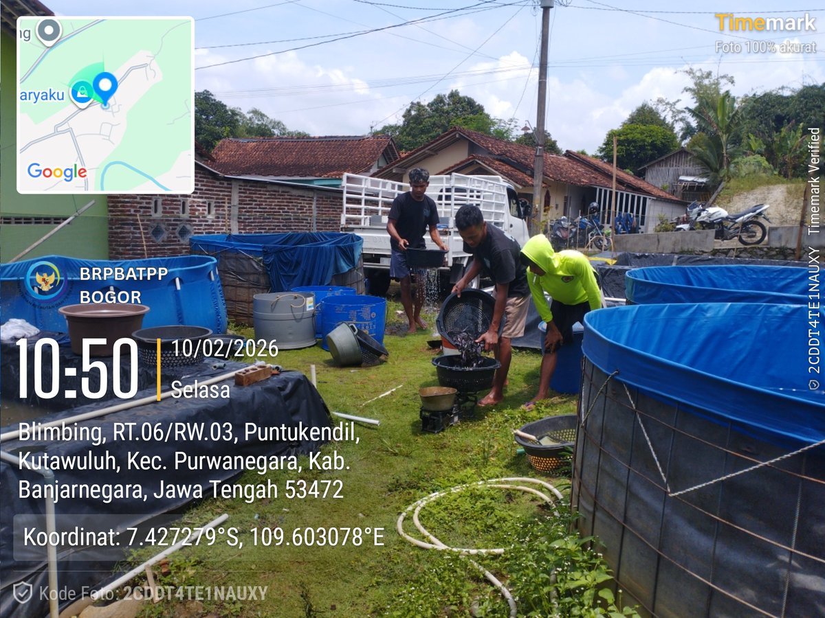 mohdialite's tweet photo. Selasa (6/1), Mohamad Wahudi Luhkan Kab. Banjarnegara, di Pokdakan Pengin Mulya Ds. Kutawuluh, Kec. Purwanegara, Pendampingan kelompok pembudidaya ikan dlm fasilitasi akses pemasaran
#luhlapor #GiatLuhkanSatminkalBogor @pusluh_bppsdm https://t.co/aqj7n3A4C0