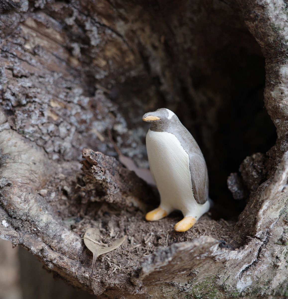 【制作日誌】
ジェンツーのウッドタイプもできました🐧✨
3色のフィラメントを使って多色プリントしています。
黄色が可愛い☺️

#ペンギン #penguin
#3dプリンター
#さっぽろペンバザ
#grsnaps