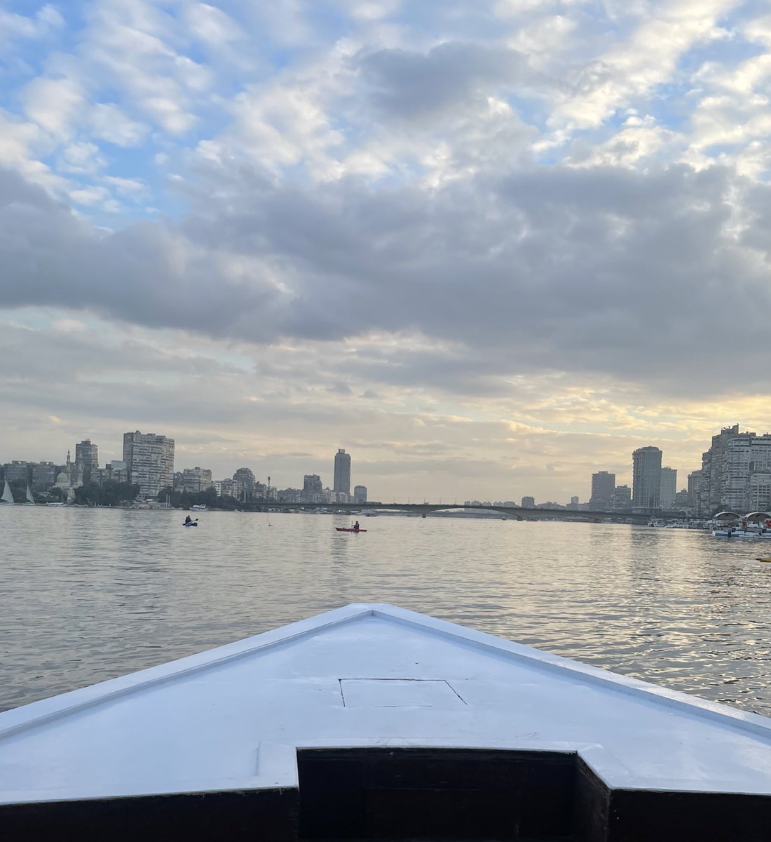 أروى الرشود tweet media