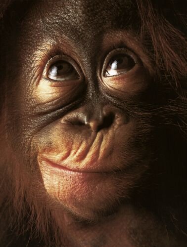 bawidja's tweet photo. @Ladysharkwh @bO8yBOJcL1BKE3p @erraticdiariess Ya mereka saudaraku.
It's me, am I looking cute? 🥰🥰 https://t.co/ltUpLA6D7O