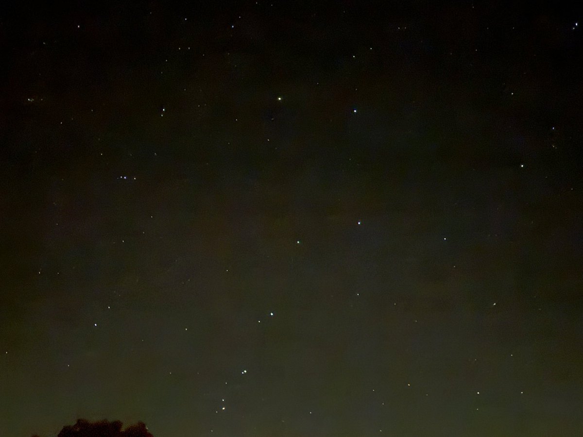 Ca$h Money Kane tweet media