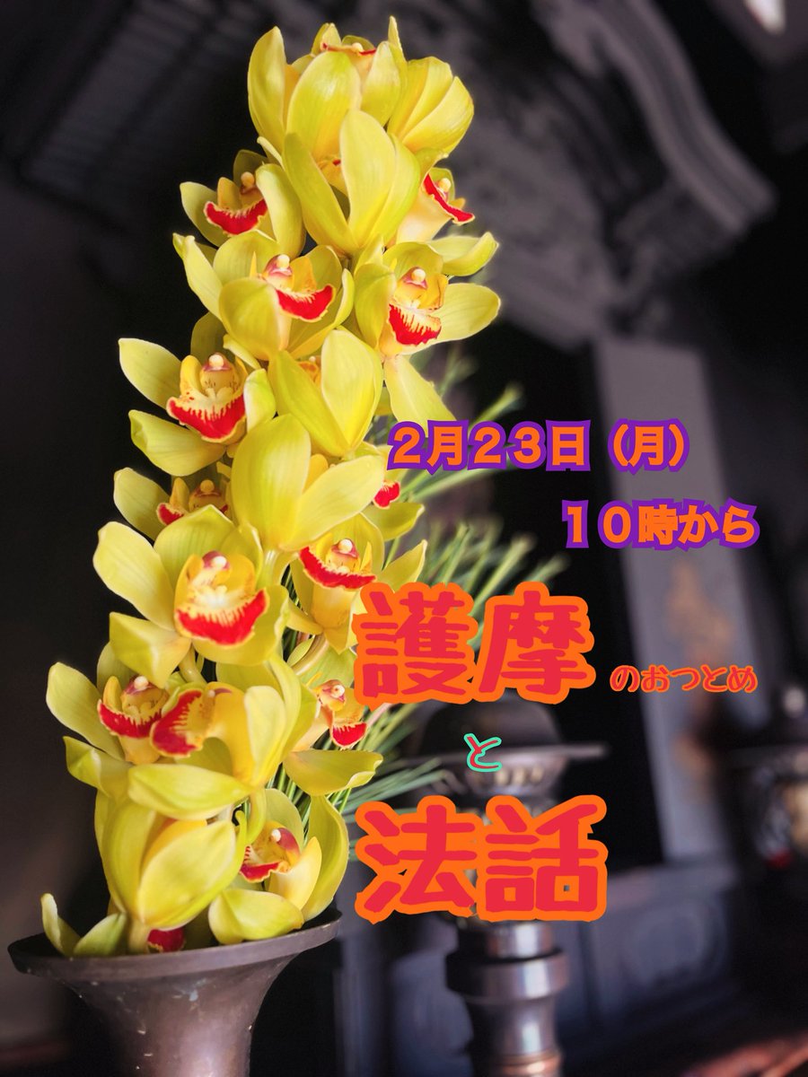毎月２１日は　皆さんとお護摩のお勤めをしていますが　２月のみ２３日です。

お勤めの後　ご法話もさせていただきます。

１０時００分　　護摩のお勤め
１０時５０分頃　ご法話
１１時２０分頃　解散予定

途中入室・退室も可能ですので、お気軽にお越し下さい☺️

#福知山
#護摩 
#法話