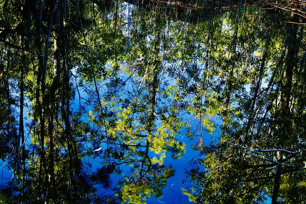 Malicious Maze tweet media