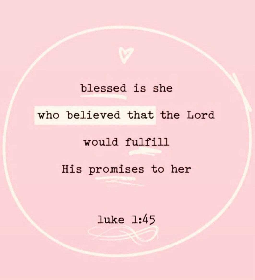 Bee’s Little Ranch tweet media