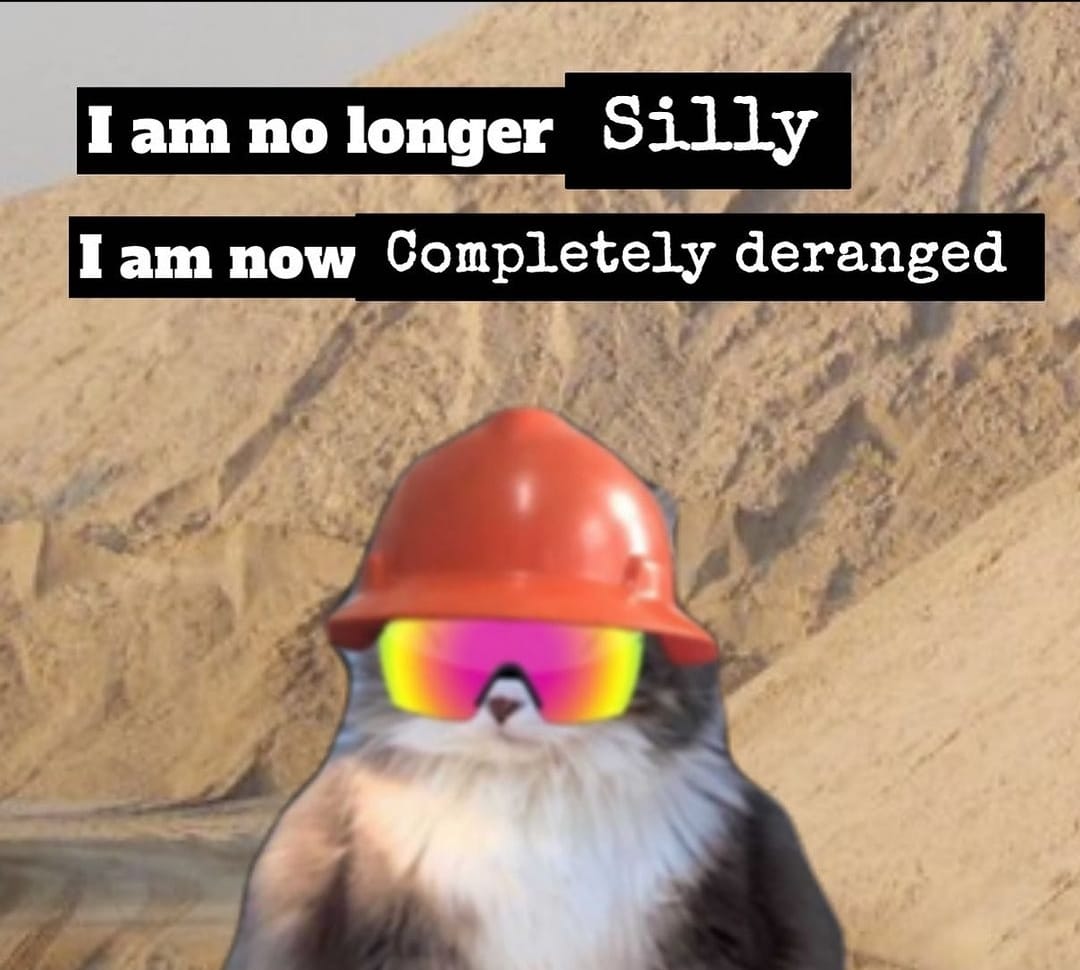 Shorbagy07's tweet photo. https://t.co/3KOVcJqVCV
