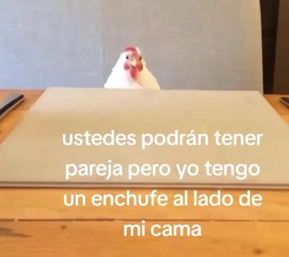 Matrep98's tweet image. 