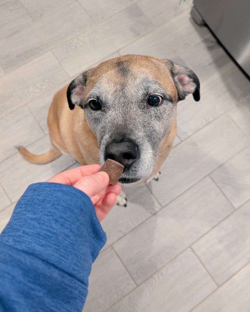 e l l i e tweet media