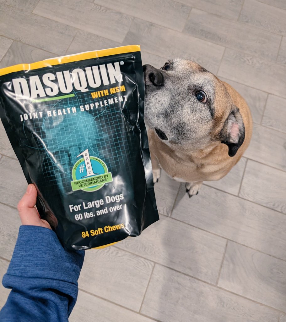 e l l i e tweet media