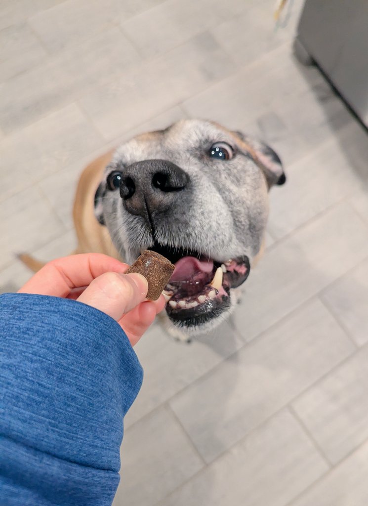 e l l i e tweet media