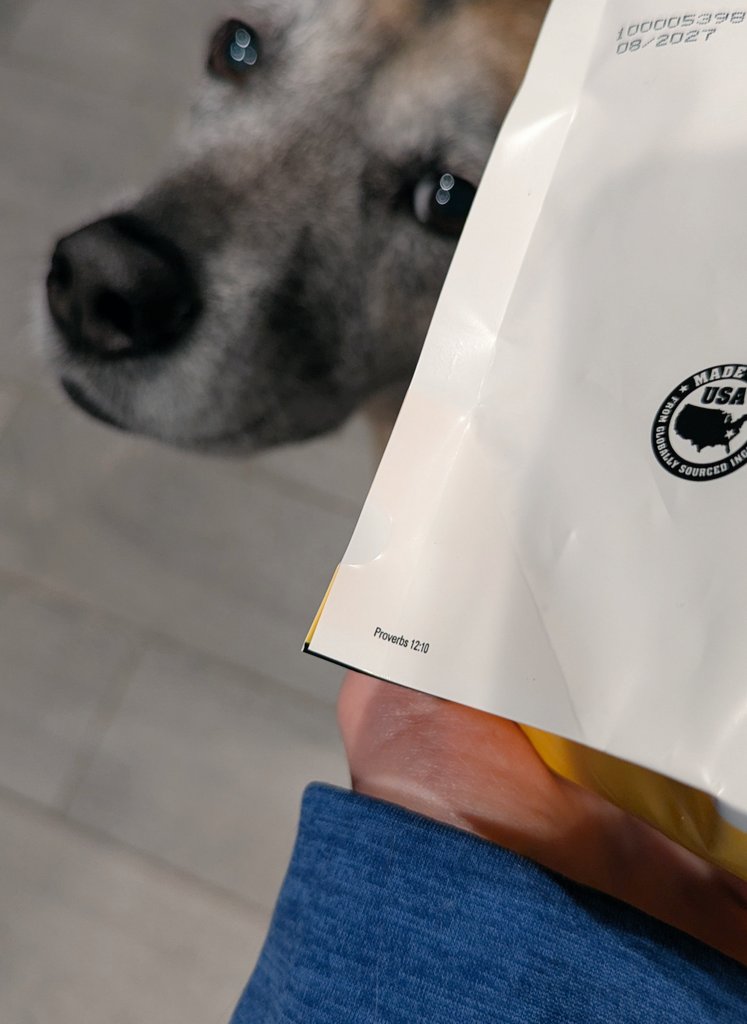 e l l i e tweet media