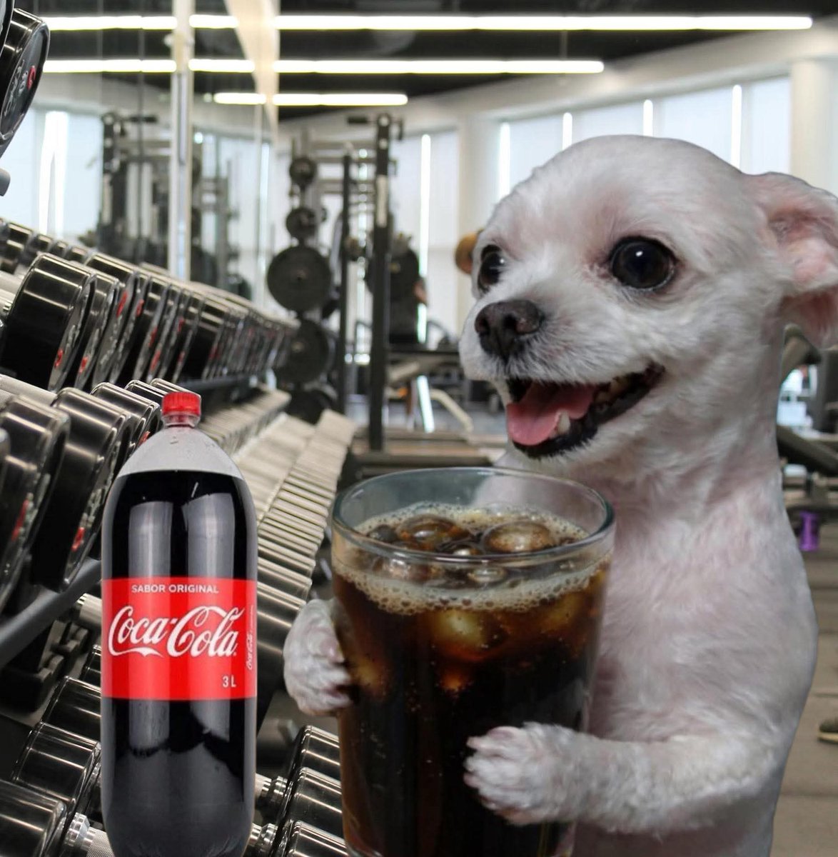 Yo a medio entrenamiento para reponer energías.