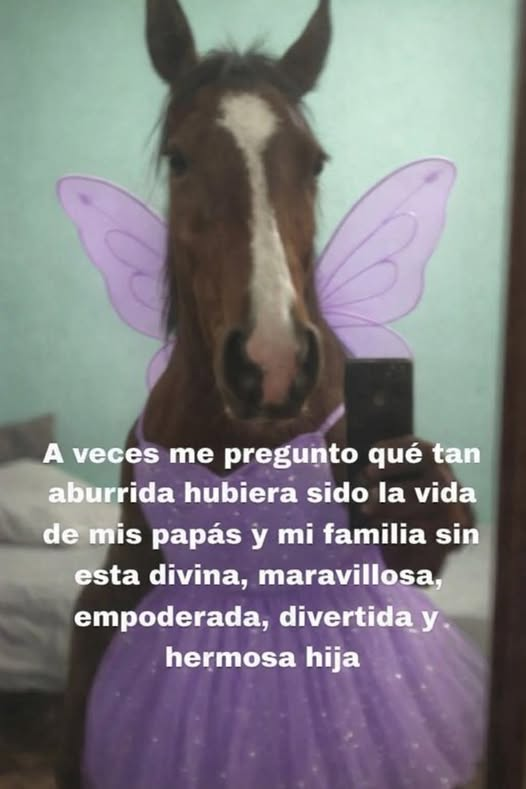 Matrep98's tweet image. 