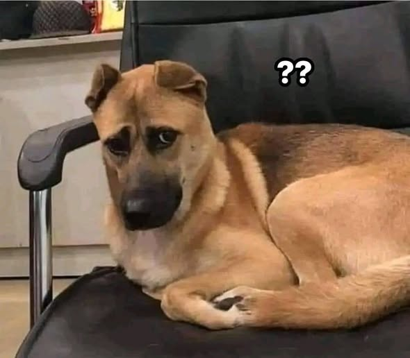 Matrep98's tweet image. Viendo cómo mi amiga llora por un vato que ella misma cuerneó.