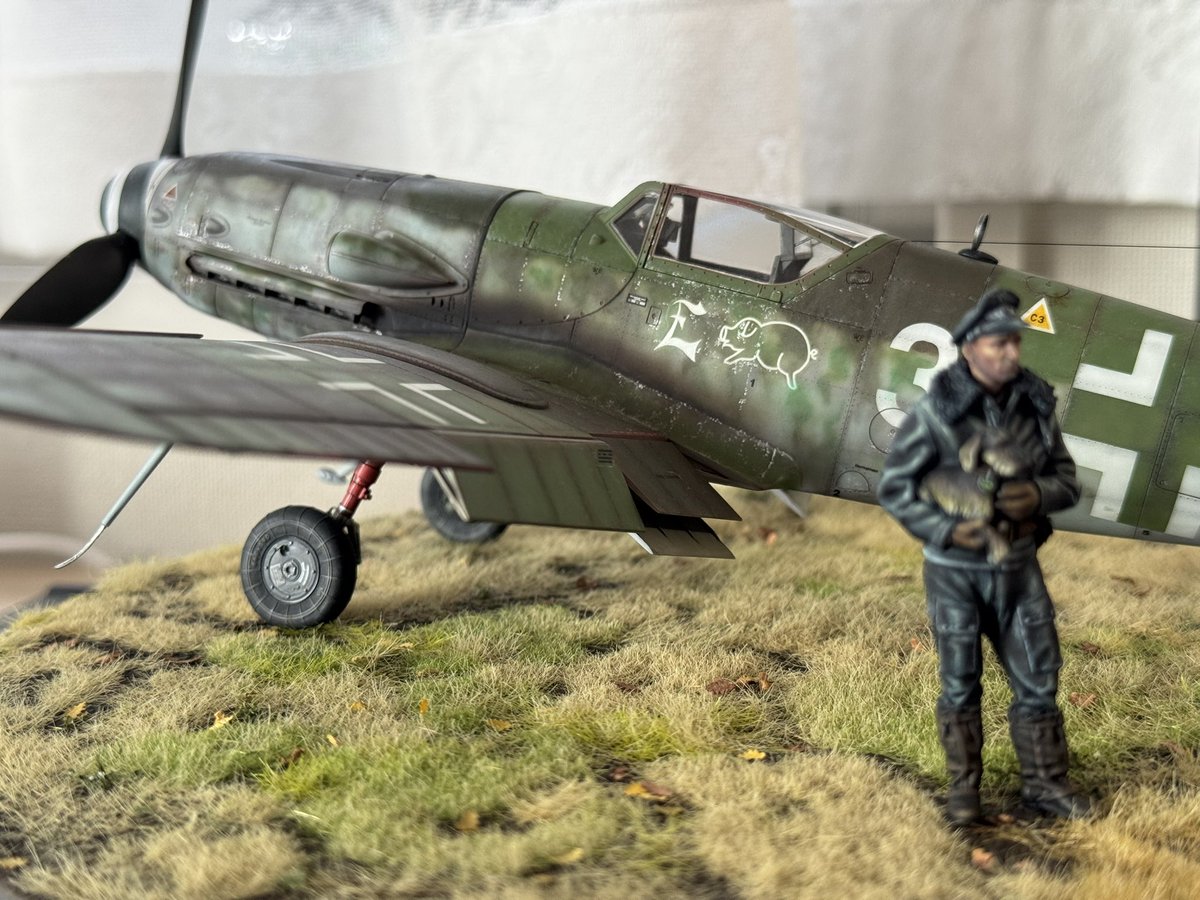 Yufei Mao@5月SHSモデラーズクラブ合同展G列96番 tweet media