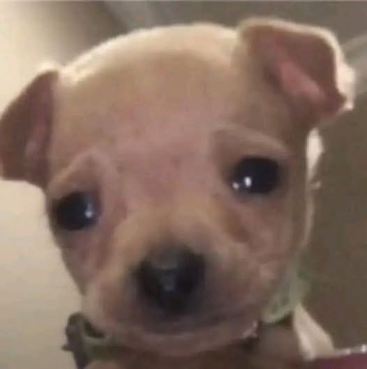 Matrep98's tweet image. Yo viendo cómo se va el camión justo cuando llego corriendo: