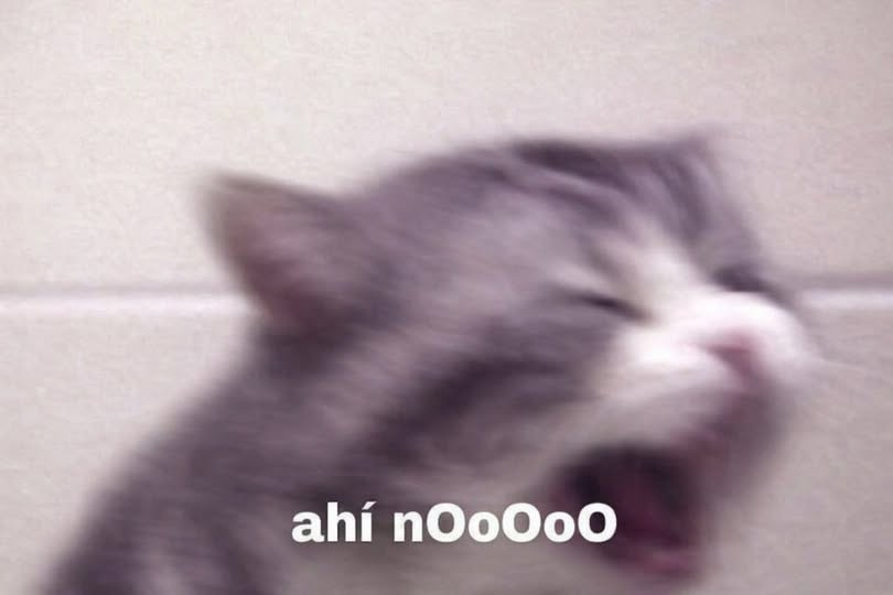 Matrep98's tweet image. *Yo sin nada que ocultar en mi celular*
Yo cuando entran a la galería:*