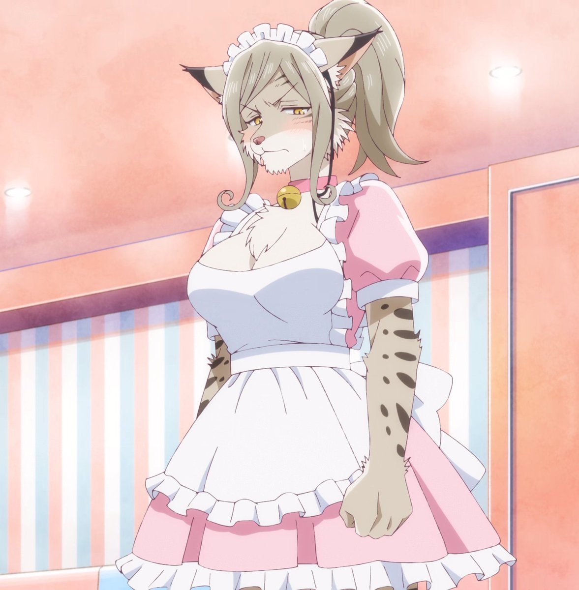 Pawbert after he's out of prison