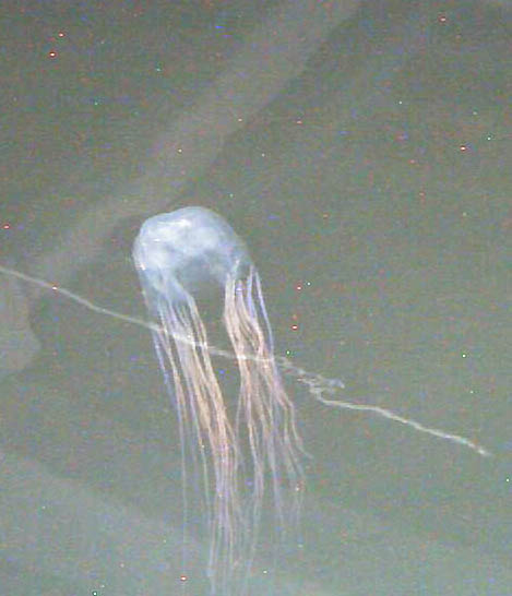 Mike Kingsford tweet media