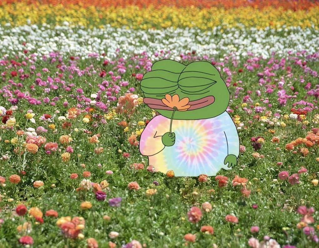 CryptoNotPepe's tweet photo. Gm, cryptans
happy Wednesday https://t.co/InPWGxNhRn