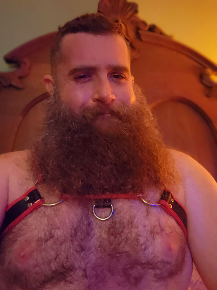 HairyGuy tweet media