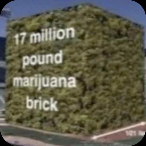 唯我独尊・宮内蛍 (@real_hotaru) on Twitter photo 