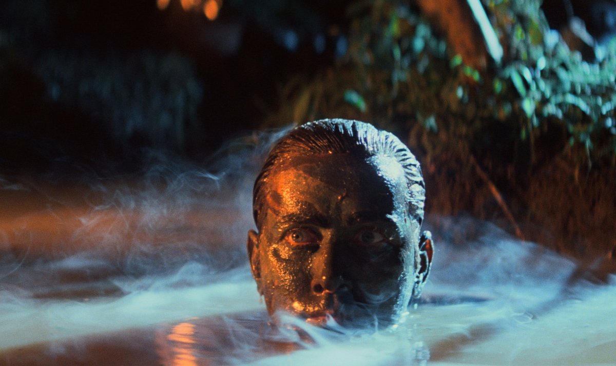 Nae 🧬 tweet media