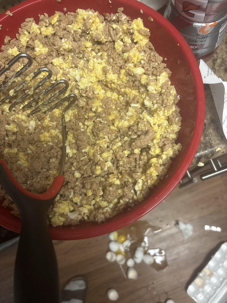 i was only able to put 8/12 eggs in my boy slop meal i’m actually kind of upset