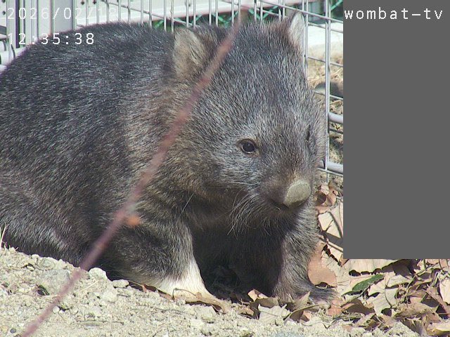 世界一可愛いお姫様🎀💕💕💕💕✨✨✨