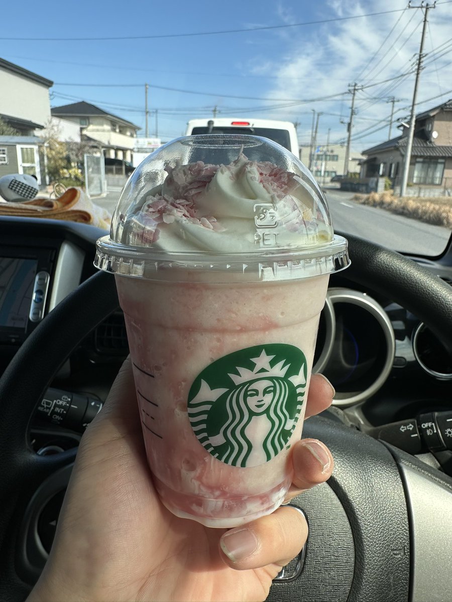 セレス@鞄鯖 tweet media