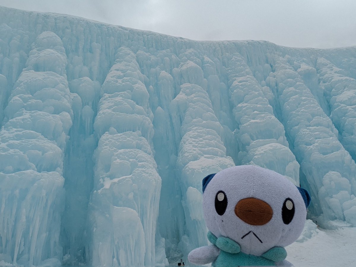 ﾏﾝｼﾞｭｳ‼️ (@miju___osha) on Twitter photo 