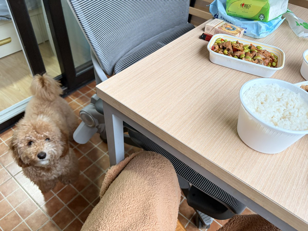 君山二小姐 tweet media