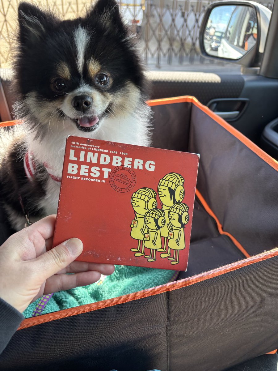 今日のドライブのお供