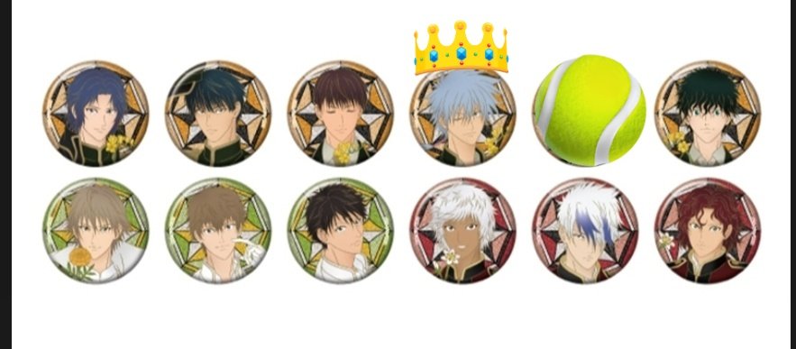 交換 譲渡 新テニスの王子様 テニプリ 庭球浪漫 ラメキラカンバッジ B