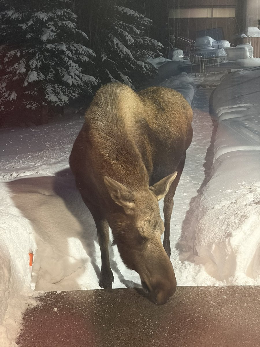 Parker Alvstad tweet media