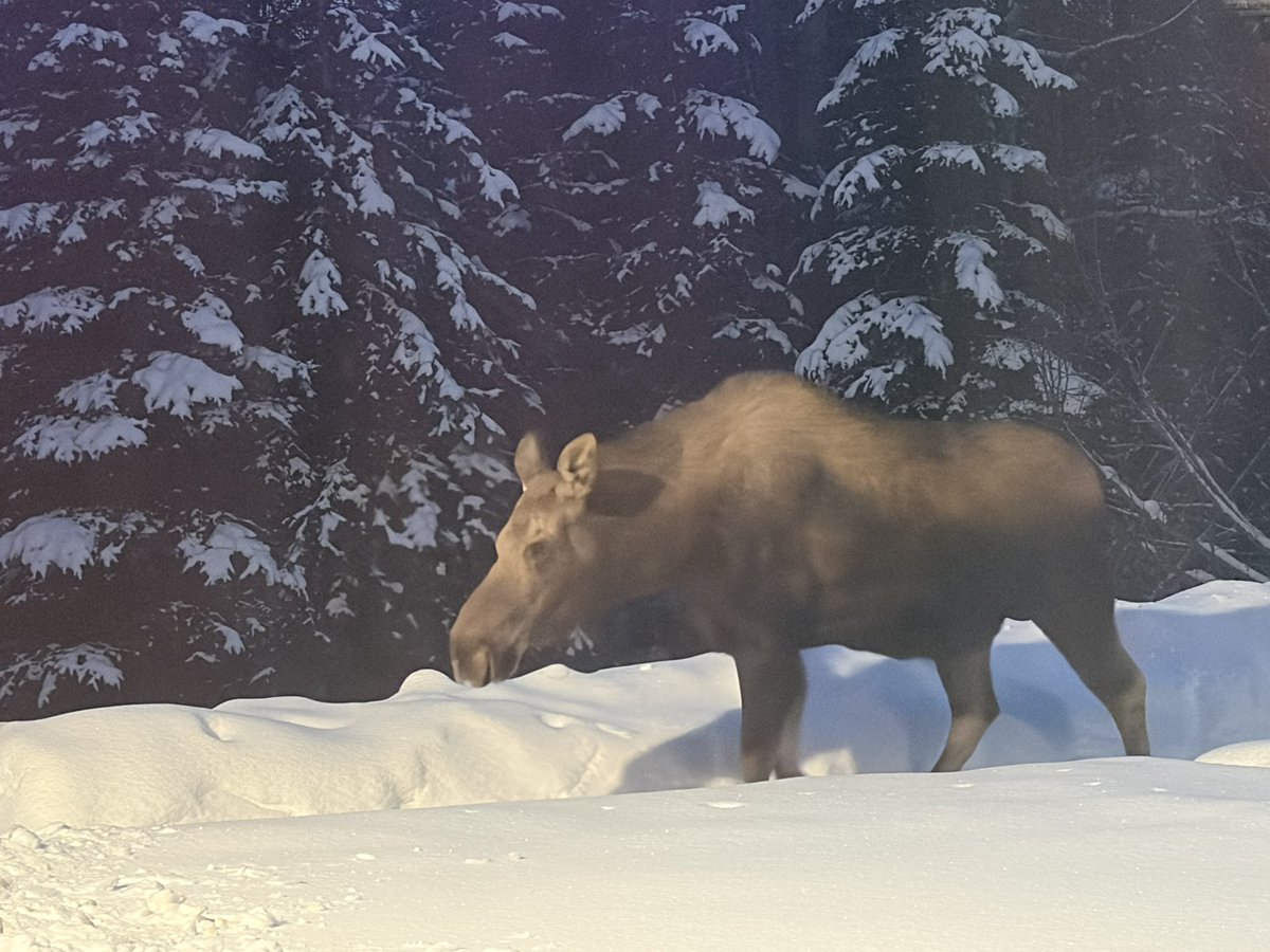 Parker Alvstad tweet media