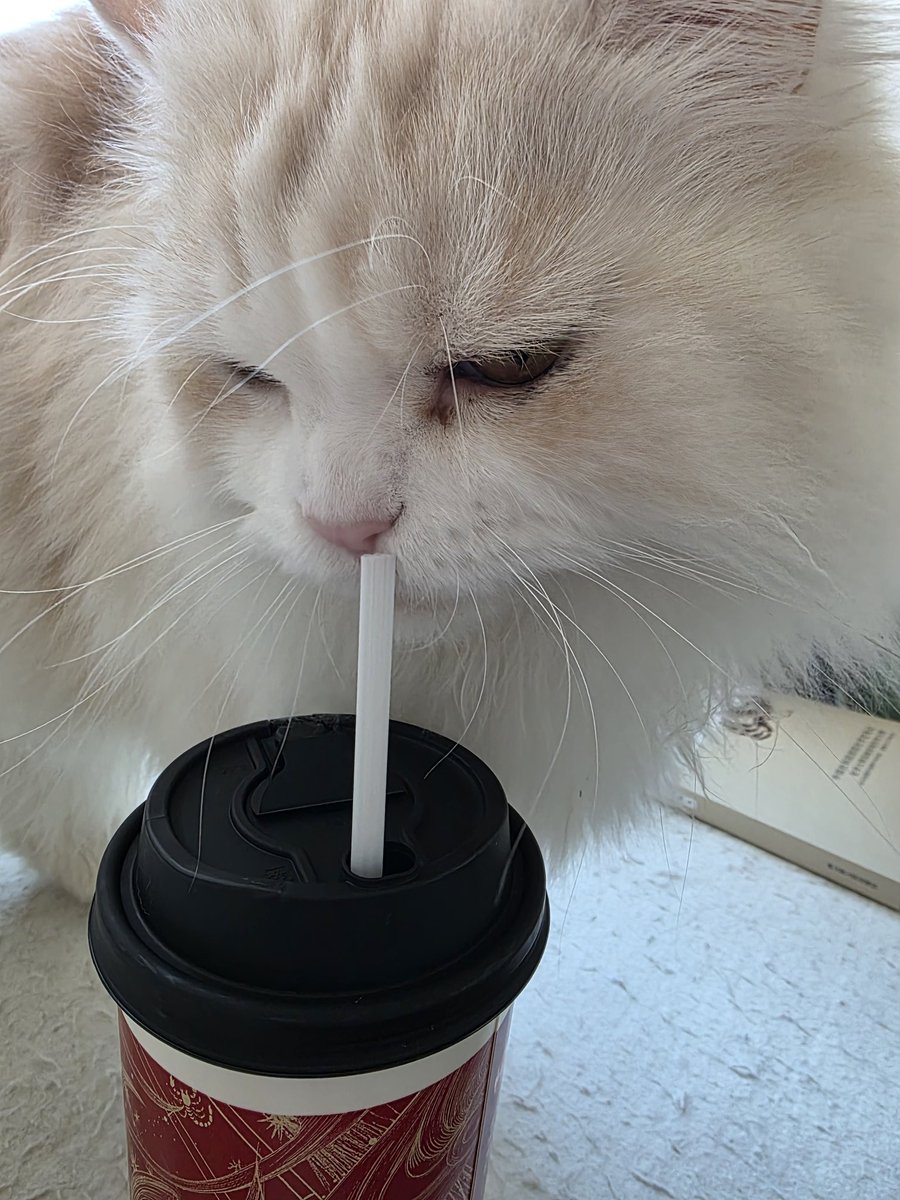 Don't bite my straw😑