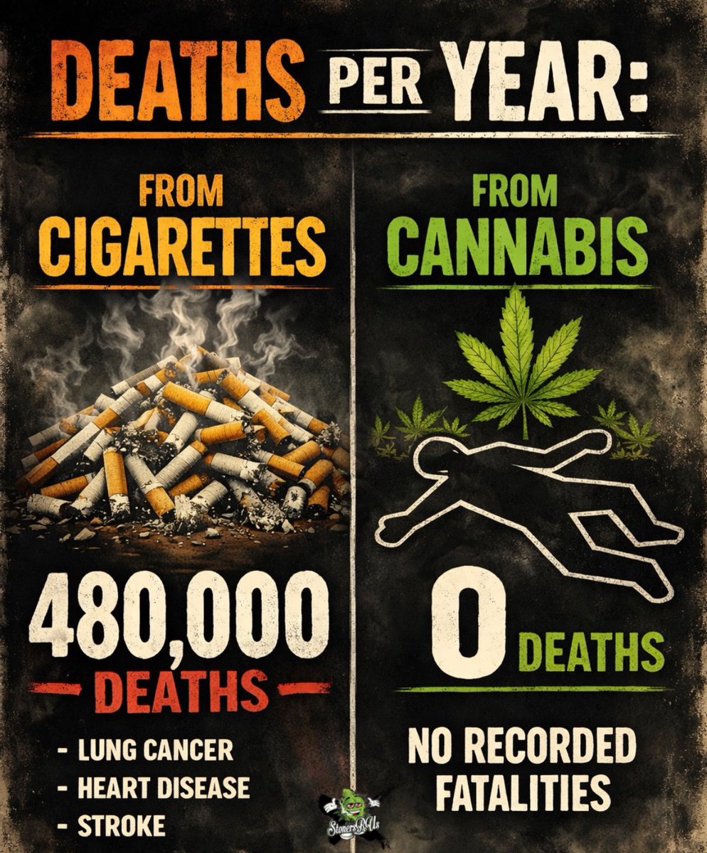 Are they trying to kill us? 🤔