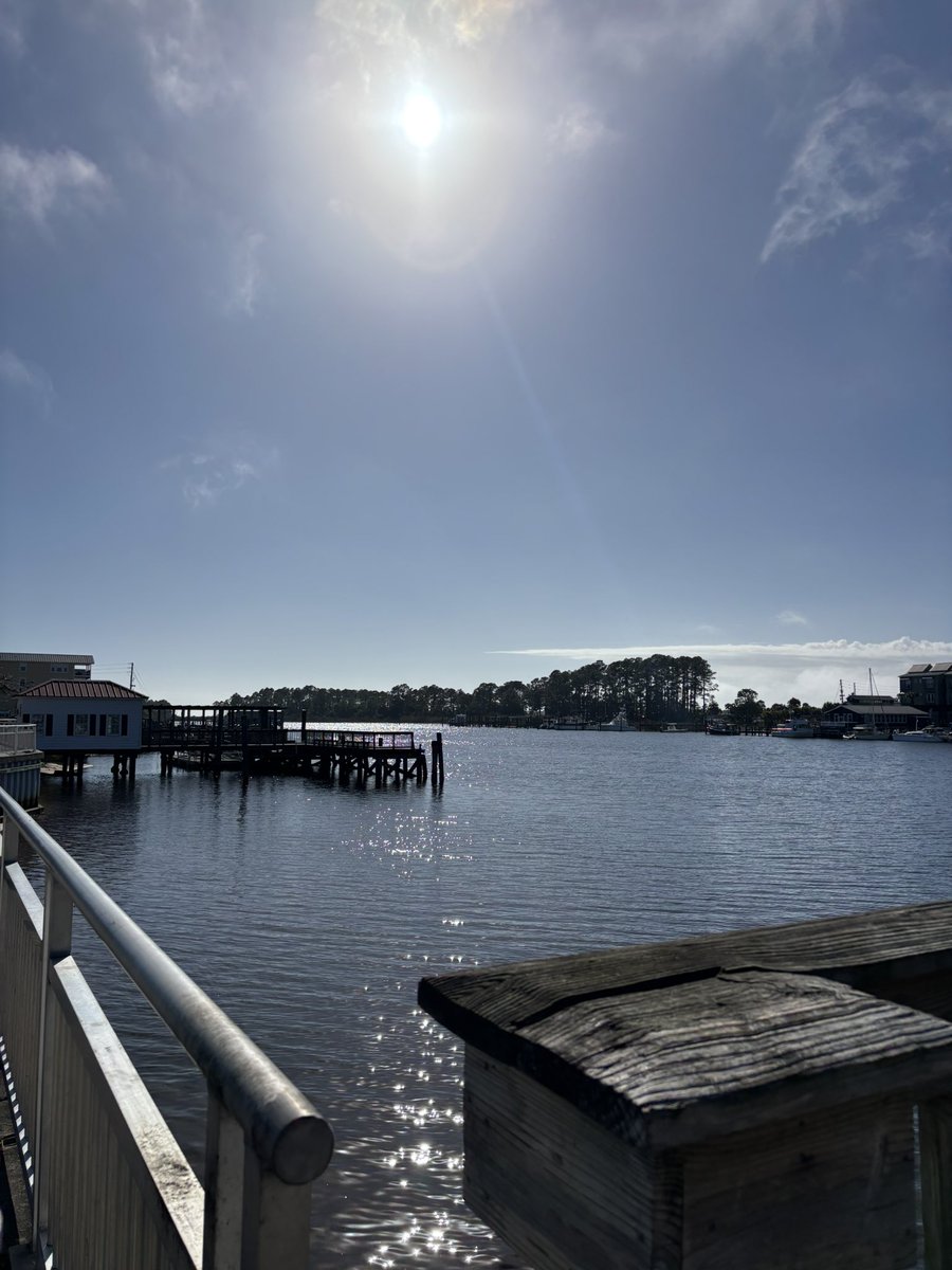 kellxh's tweet photo. getting used to being a FL resident ☀️ https://t.co/nlB8YMQbL6