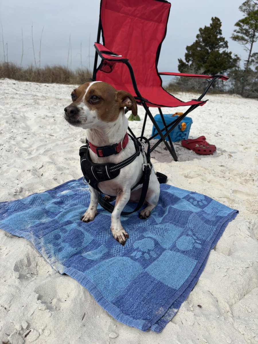 kellxh's tweet photo. getting used to being a FL resident ☀️ https://t.co/nlB8YMQbL6