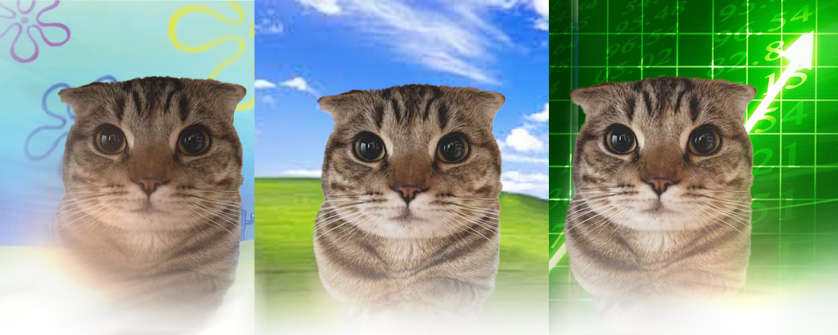 pinguonchain's tweet photo. I just found the next animal runner

This cat named matasutake is gaining MAD TRACTION on X for looking like zazu

We havent had a zazu themed runner this year and this cat MIGHT BE THE ONE

200k Followers on X, FREE RUNNER

New year, new zazu (kinda)

Comm: https://t.co/tqSgfQJ2Xh