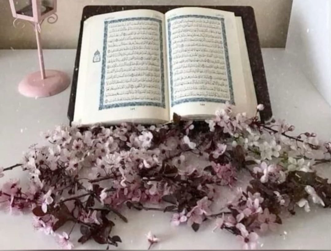 بديع الكلامAlfazari k tweet media