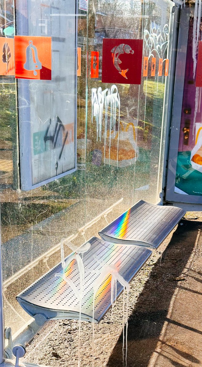 Zeph Photos tweet media