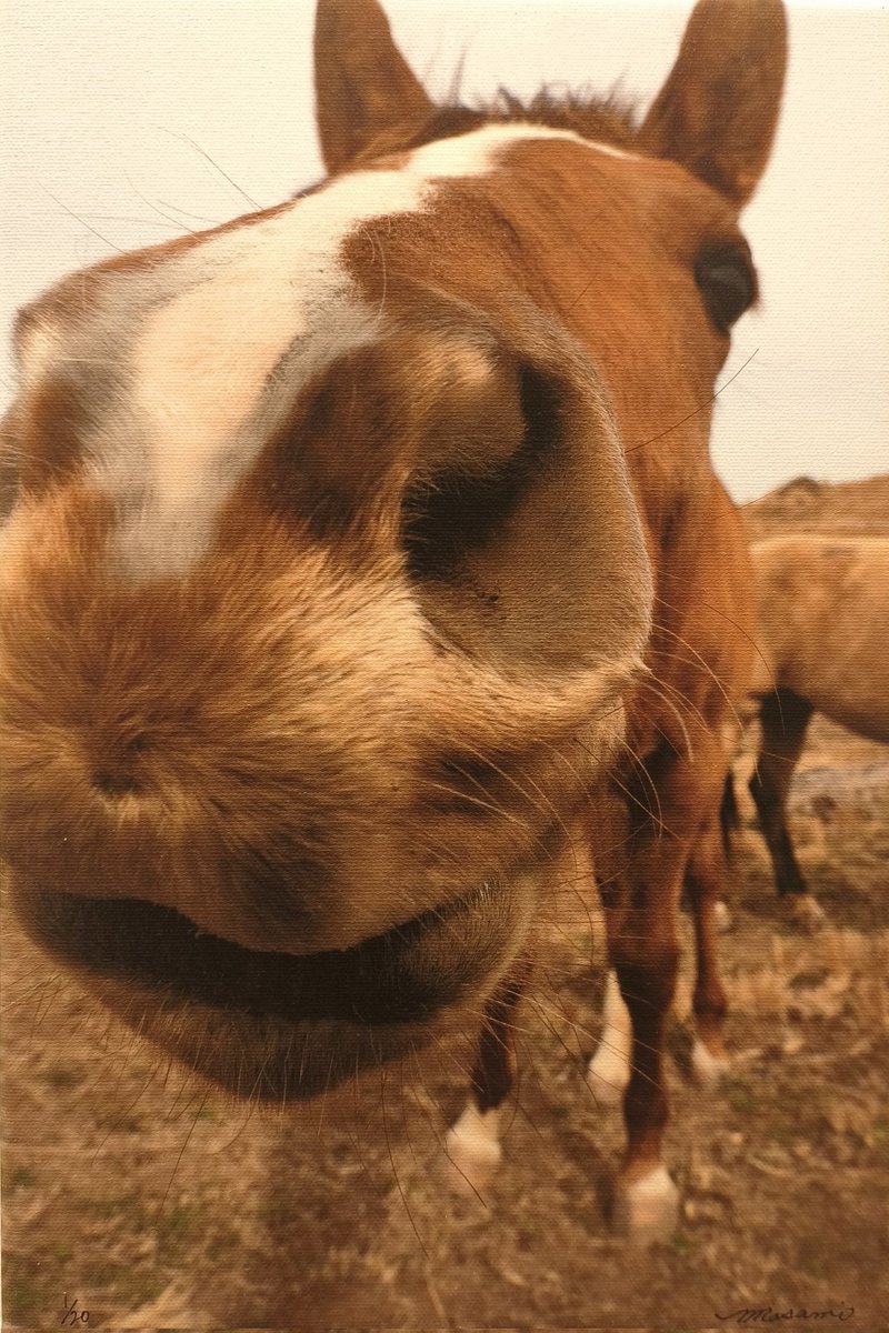 ギャラリー上田 / Gallery Ueda tweet media