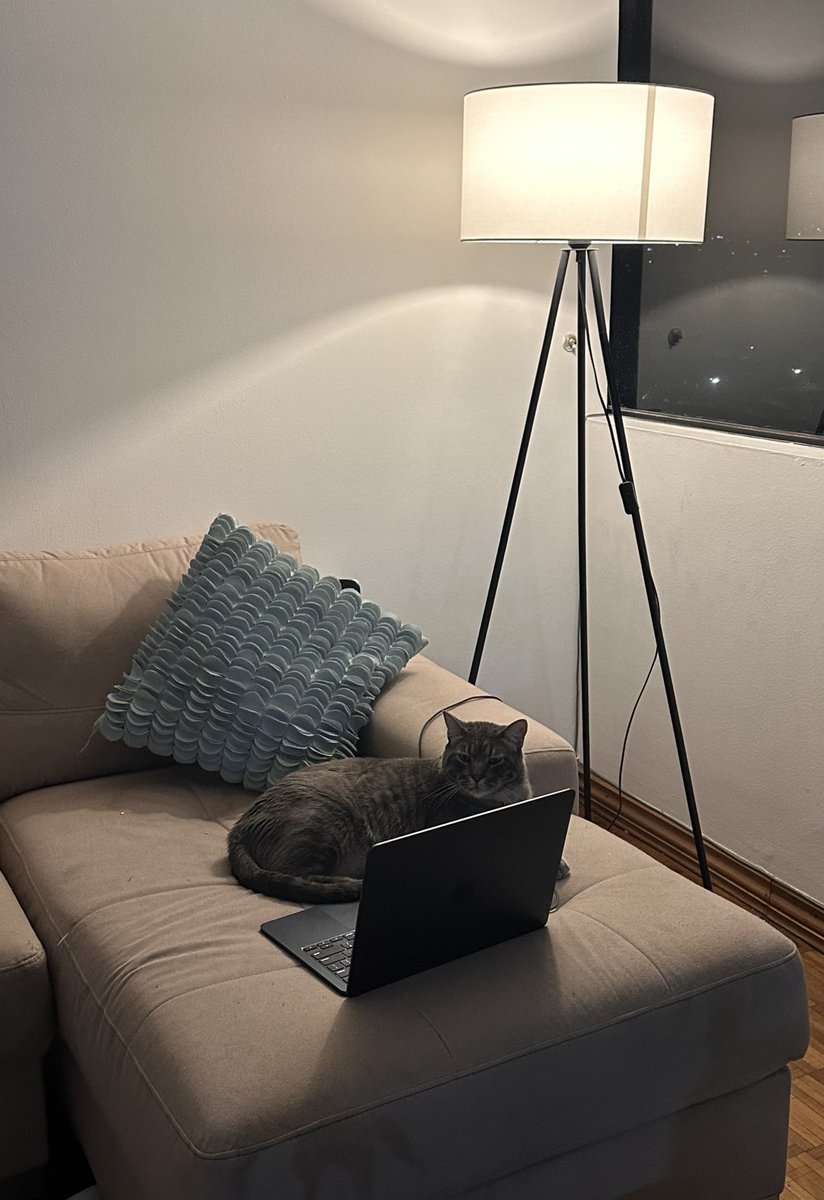 Cómo le explico que no fui yo quien le escribió que la extraño, sino que fue mi gato.