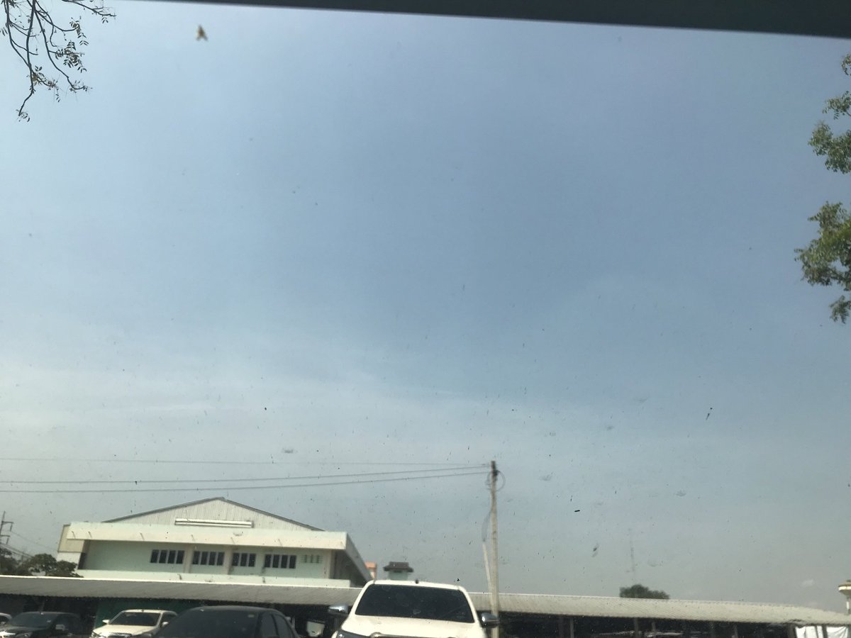 STorY DaY tweet media