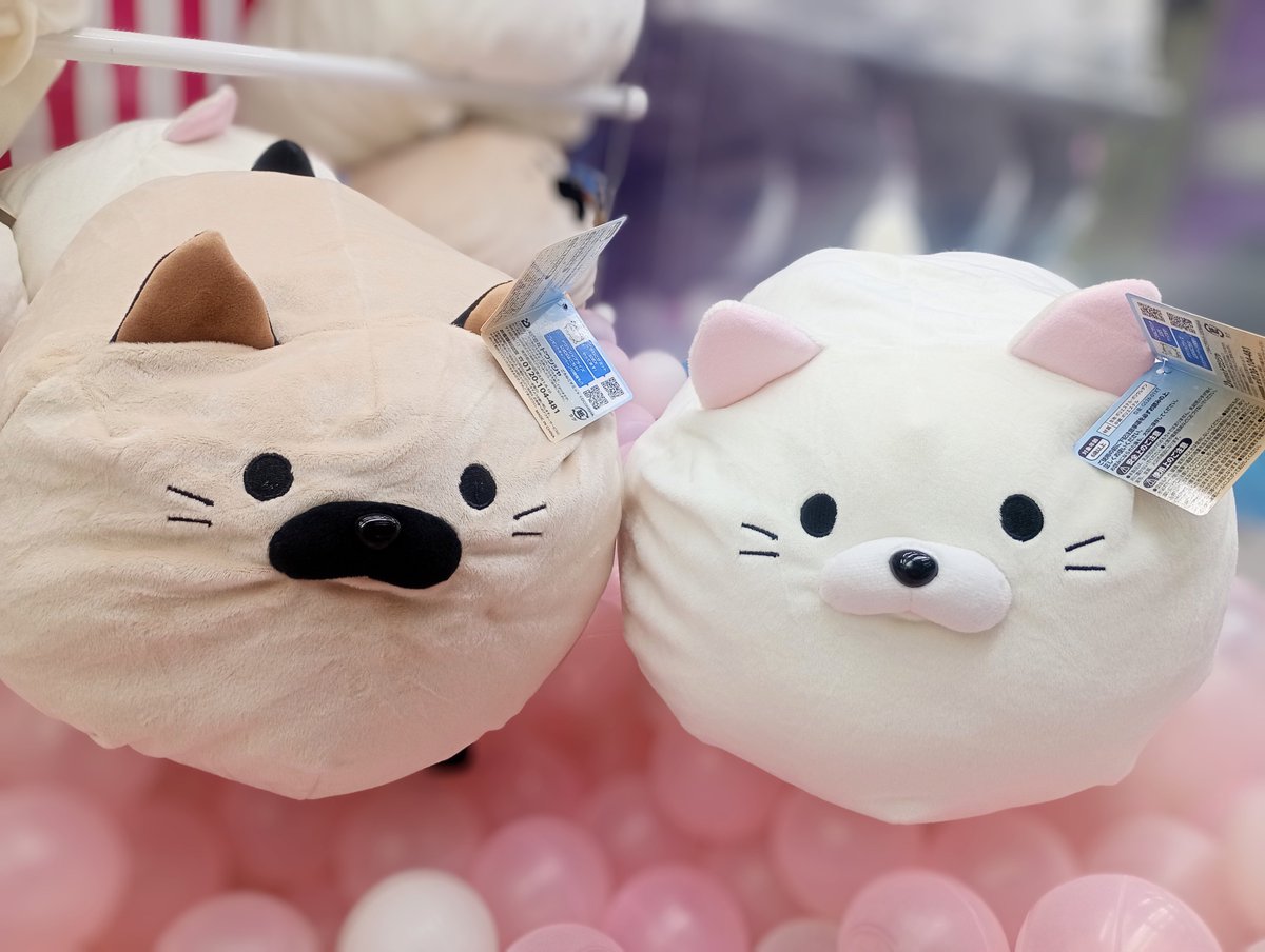 𝓝𝓮𝔀 ⸝ #ごろねこサミット イトウとタナカのクッションが新登場