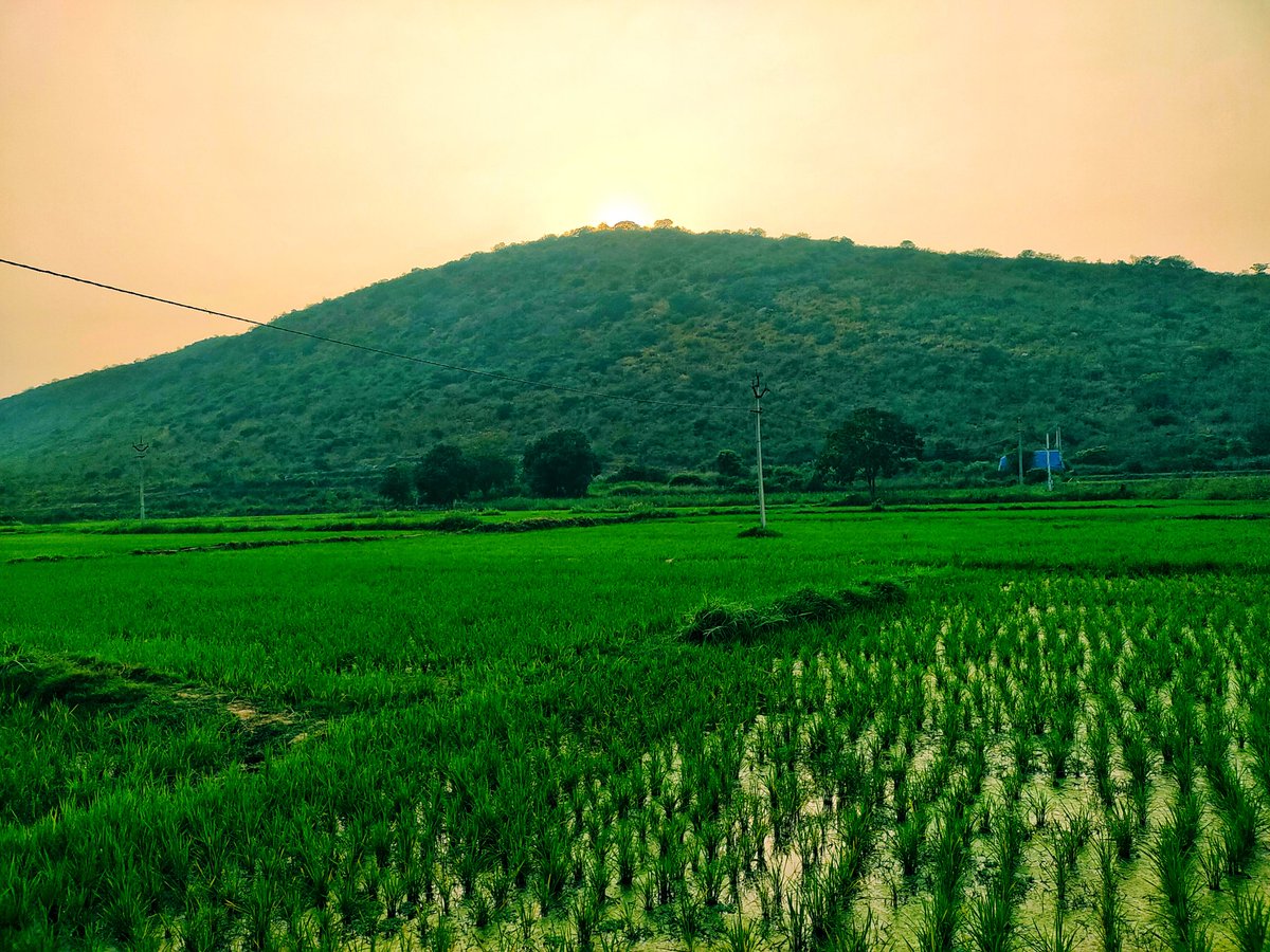 Peaceful Wild village nature ra babu ikkade o home kattukoni undipovali 
#NatureBeauty #TrendingNow