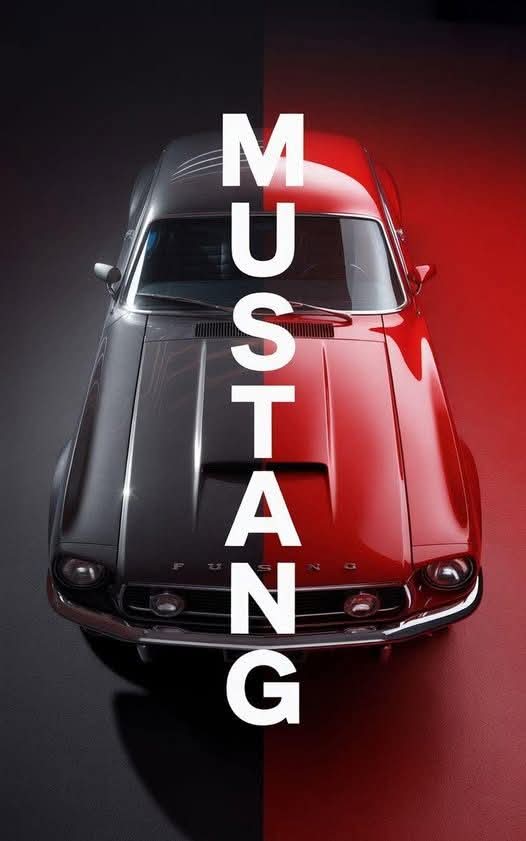 AlejandroJGarza's tweet image. 