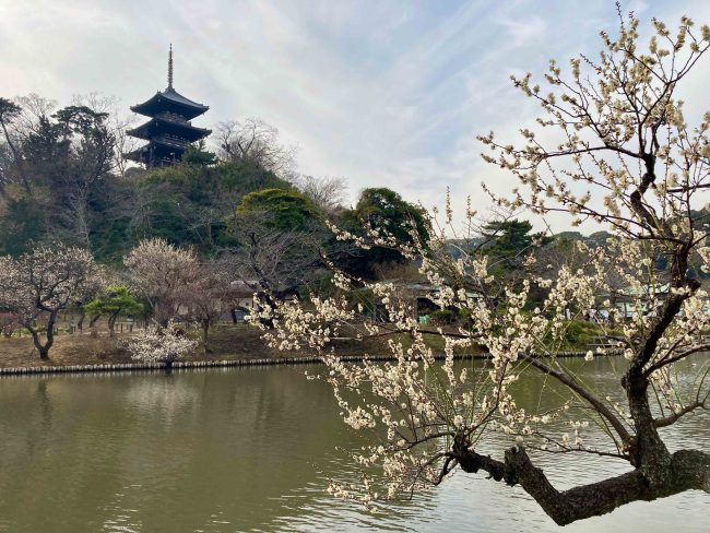 APL_JAMSTEC tweet media